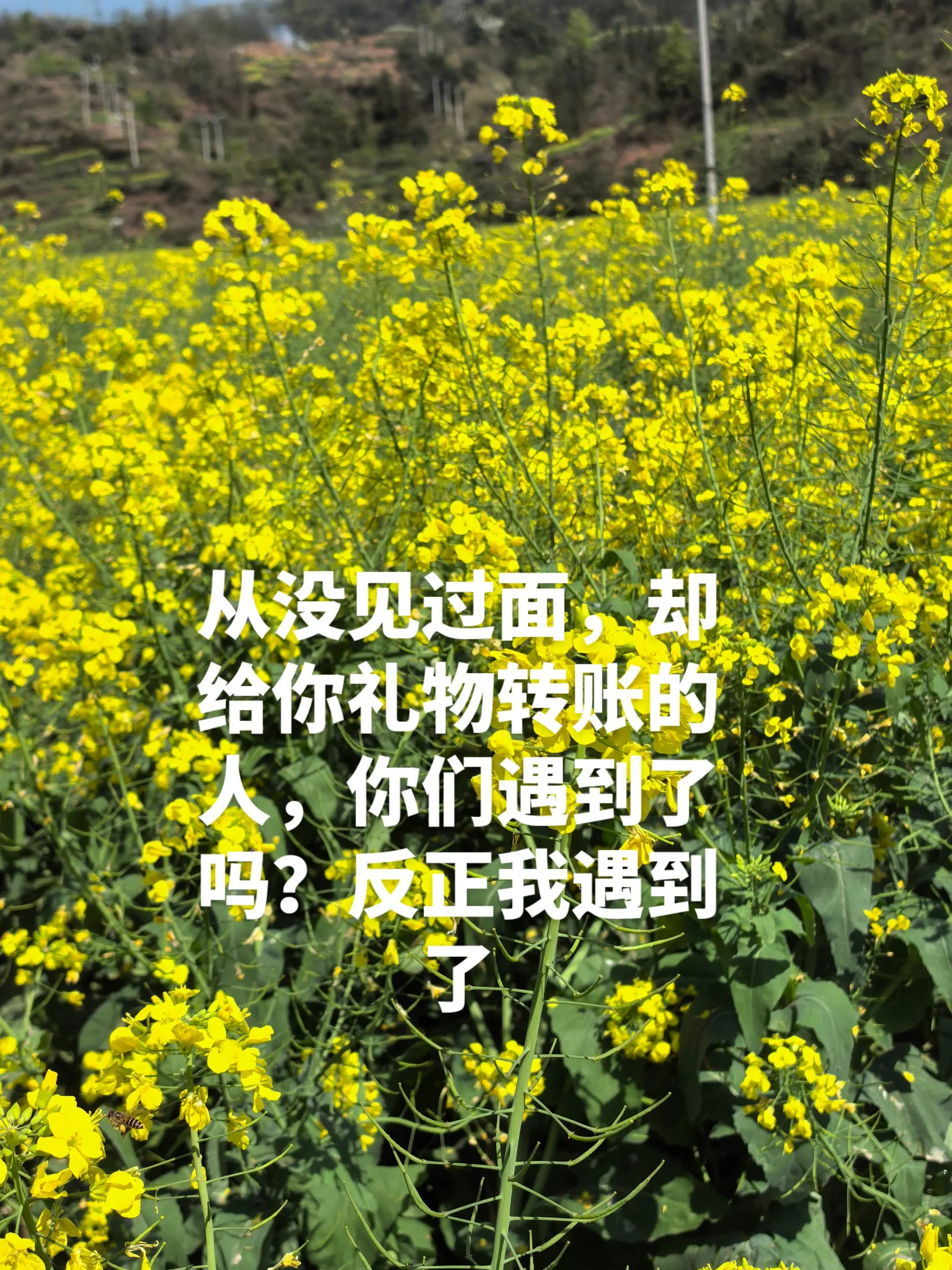 从未见过面，却节日给你买礼物，给你转账的人，遇到困难自己还没张口要多少...