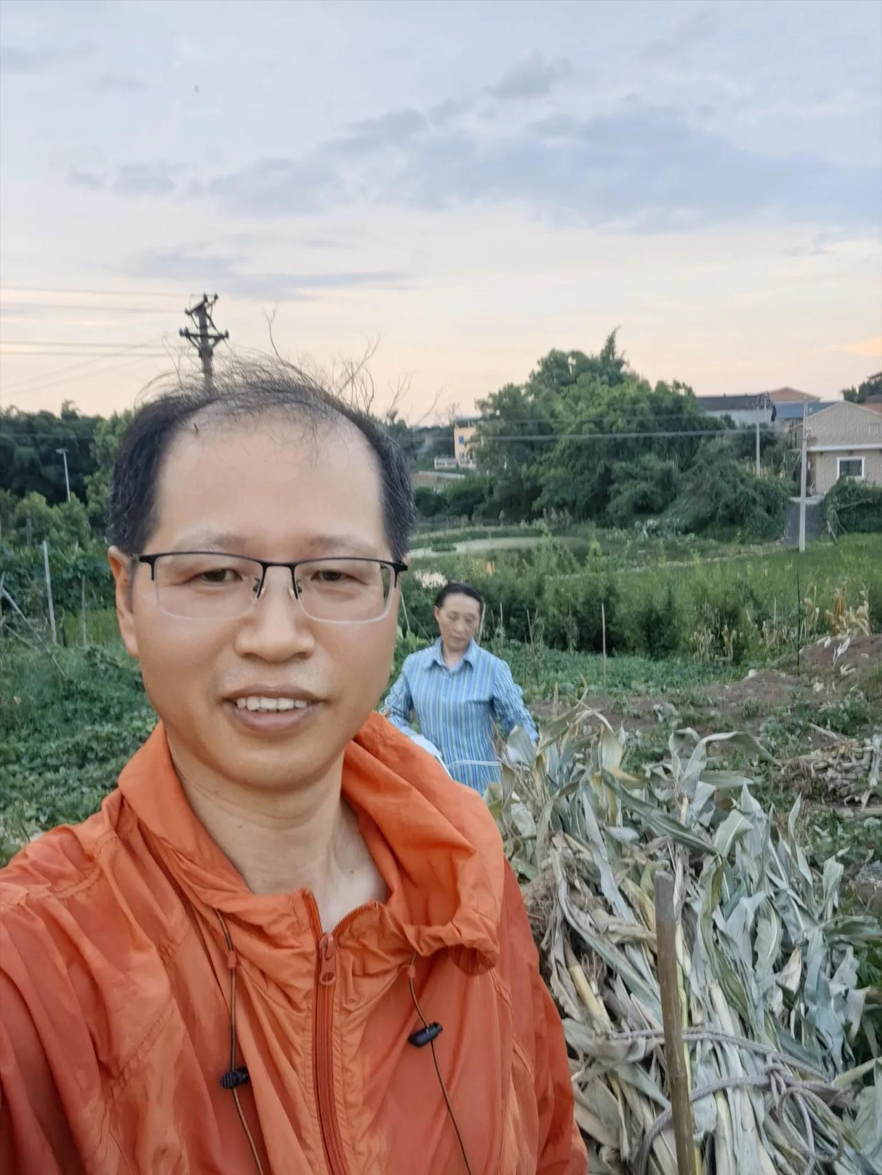 夏收玉米完结篇

摆在我们面前的，是昨日放倒并晒软的苞谷秸秆，黄澄澄铺了一地。