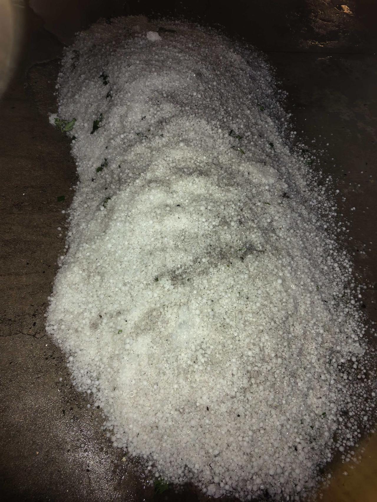六月的最后一天，长武遭遇大雨加冰雹。

庄稼在哭泣，果树在流泪，农人的心在哀伤。