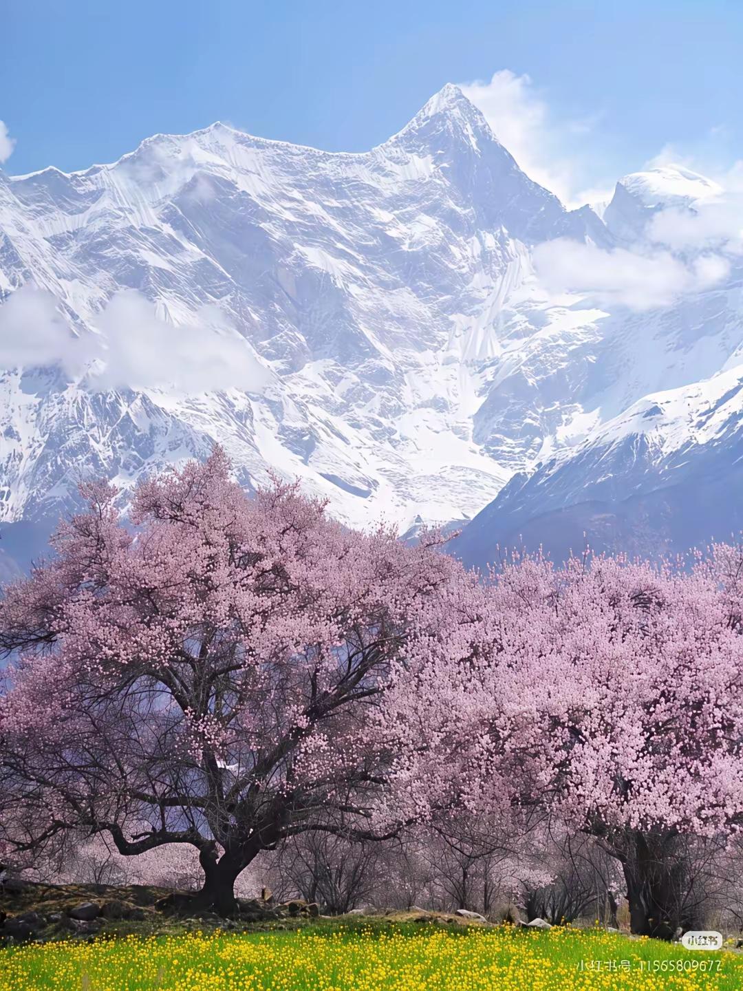 凡是磨难你的东西，终会让你变得强大。
 
它不是平白无故的刁难，而是命运悄悄递来