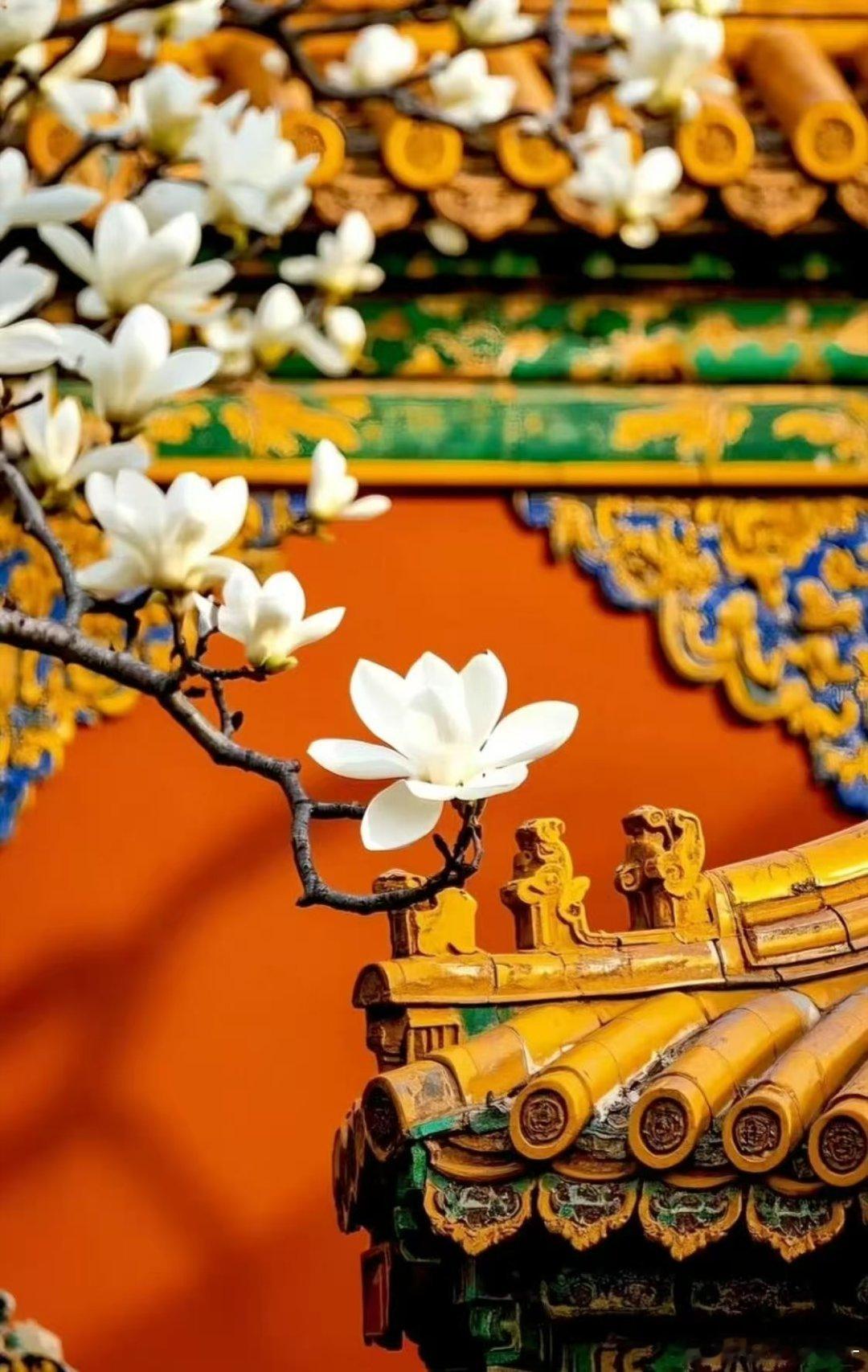 中式美学永远不会过时中式美学真的永远看不腻，自带一种高级又温柔的气质。 