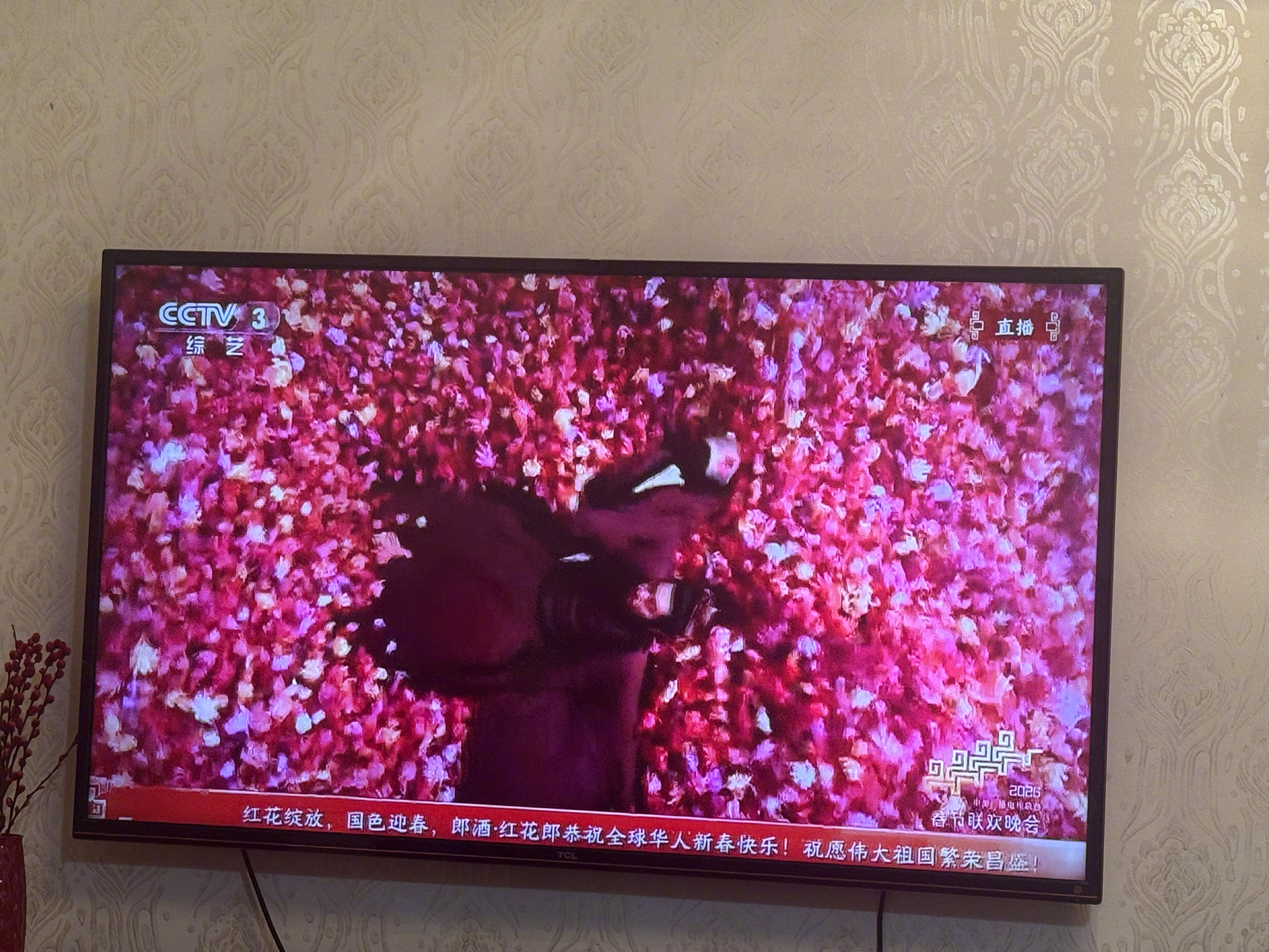 陈凯歌的极乐之宴上春晚了春晚段子大考春晚