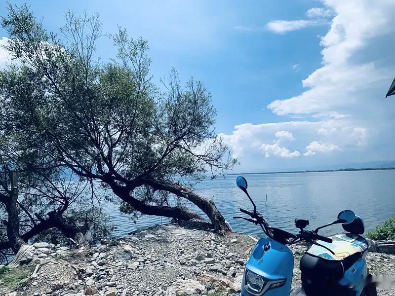 夏日生活打卡季 夏日生活打卡季来啦！夏日打卡，有美景，可也有“雷区”呢。就拿洱海
