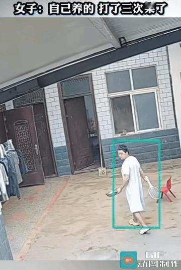女子正在走着，兔子冲出来就咬，她和它打了好几个回合，兔子才败下阵来。皆因她手里有
