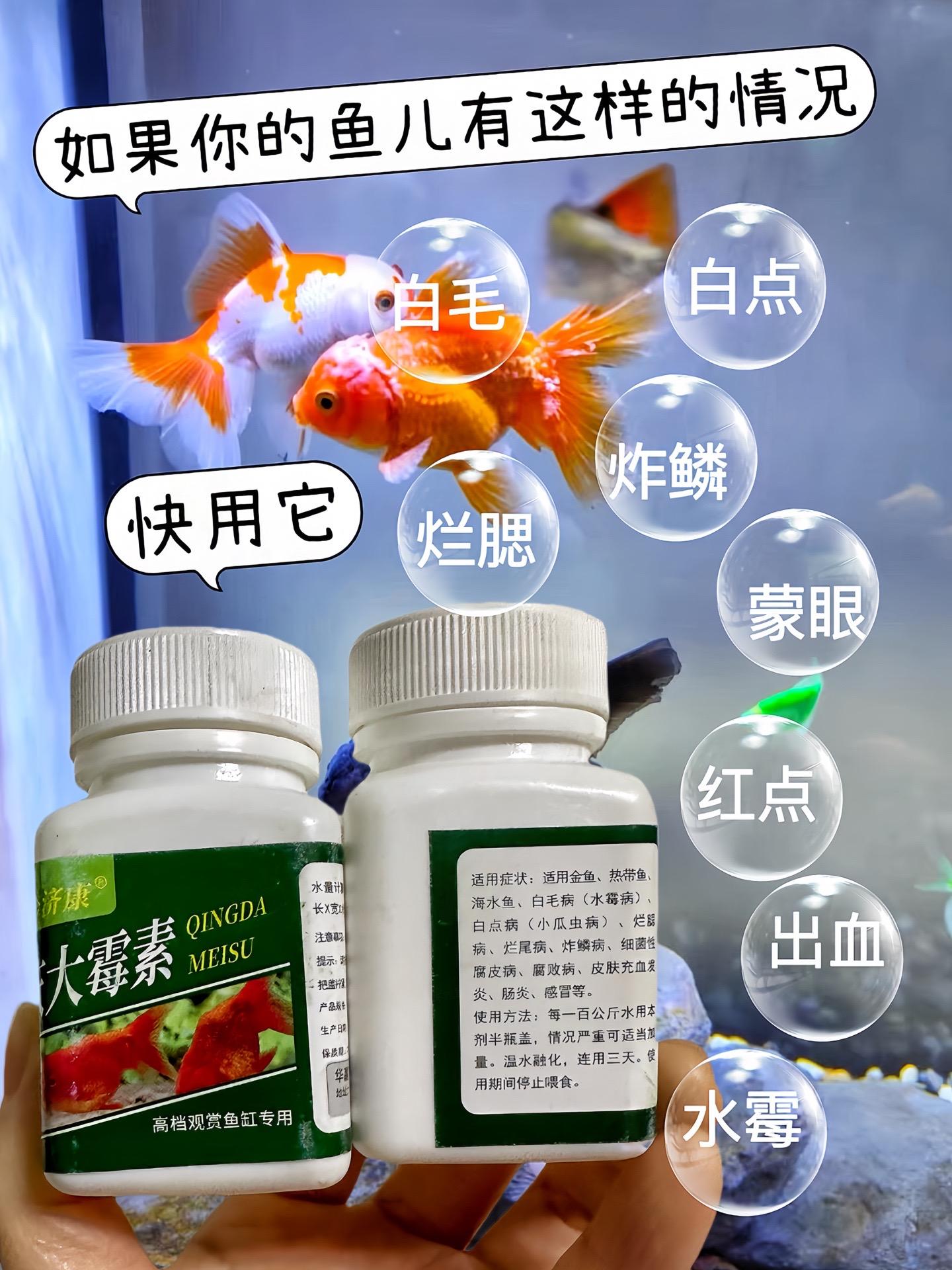 一瓶解决鱼儿常见问题，烂肉烂尾，炸鳞，白点，水霉等，轻松应对鱼儿突发状...