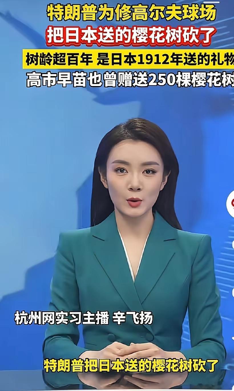 特朗普又有大动作：砍了具有百年历史的日本赠送的樱花树，只因改樱花树阻碍了其建设的