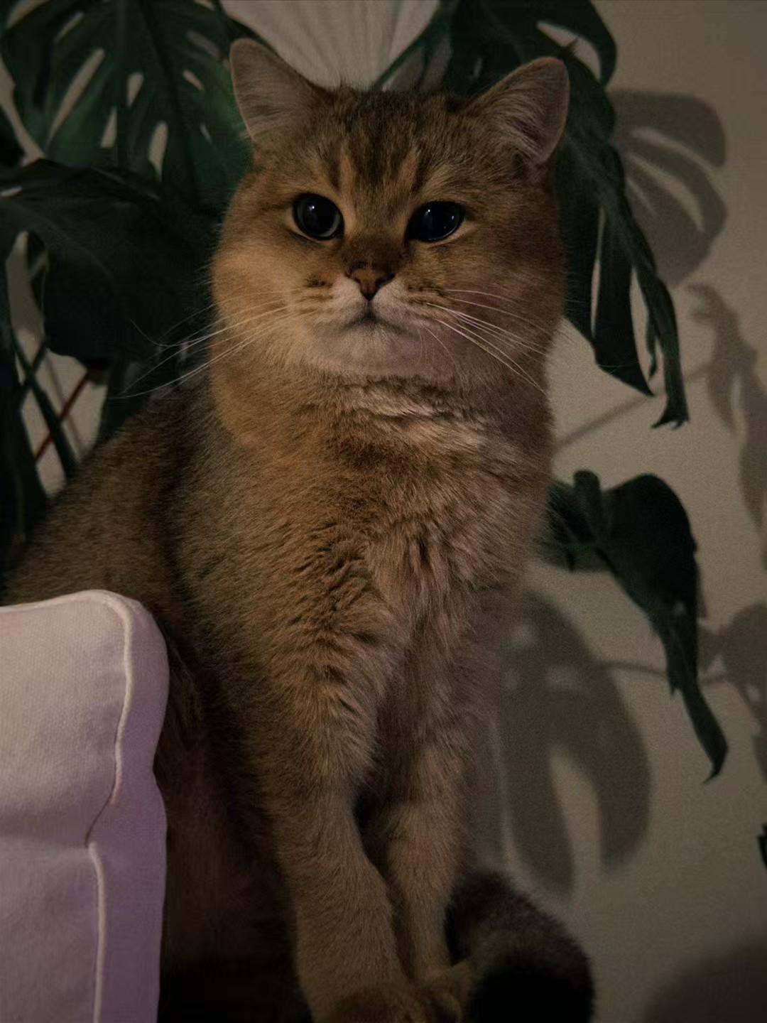 发现2026年来到后今日头条会过日子了，就是拿着筛子筛啊筛，几乎每天不管你发几篇