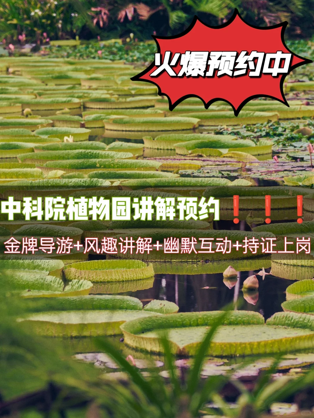 中科院植物园讲解🔥火爆预约中ing......
