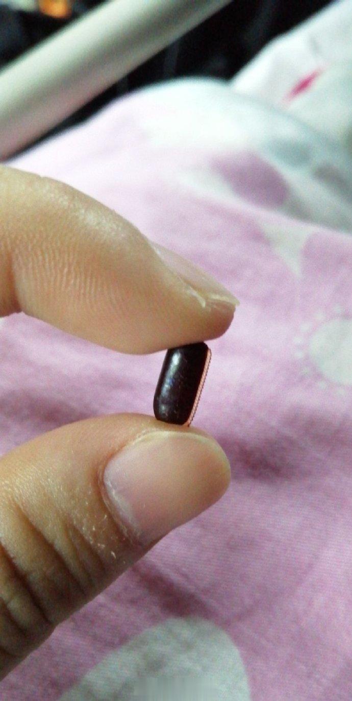 网友：粘在我床帘顶上，以为是个蟑螂，幸好！ ​​​