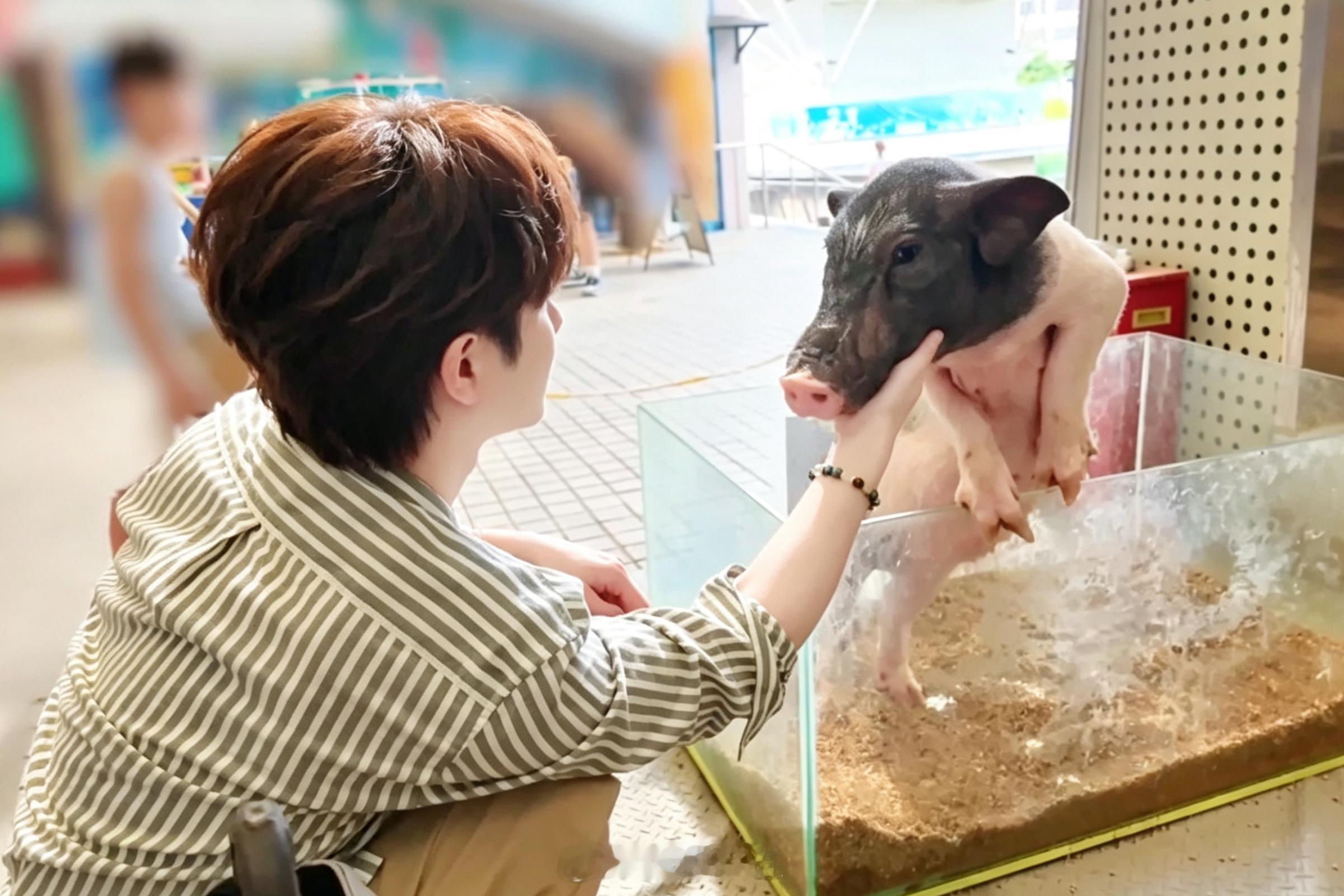 王佑硕向全世界安利王佑硕 WYS 王佑硕海底漫游vlog 这里是《胡说八道新闻组