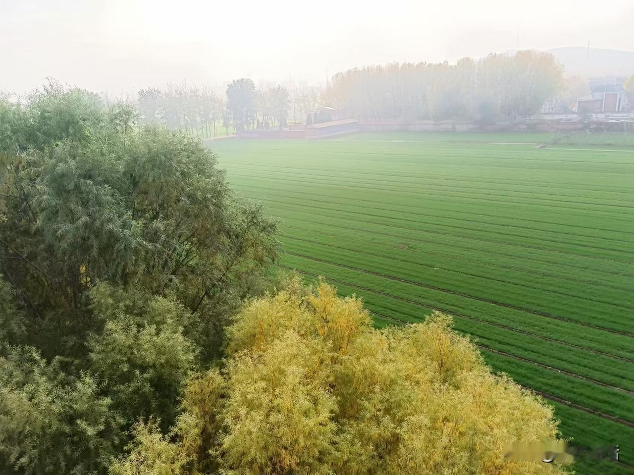 梁东方
虽然忙，但是总还是要拿出些时间来，在傍晚的时候坐在阳台上，听着收音机里随