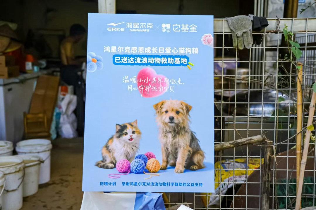鸿星尔克店内收留流浪猫狗 别家门店避之不及的流浪小动物，鸿星尔克始终温柔包容，开