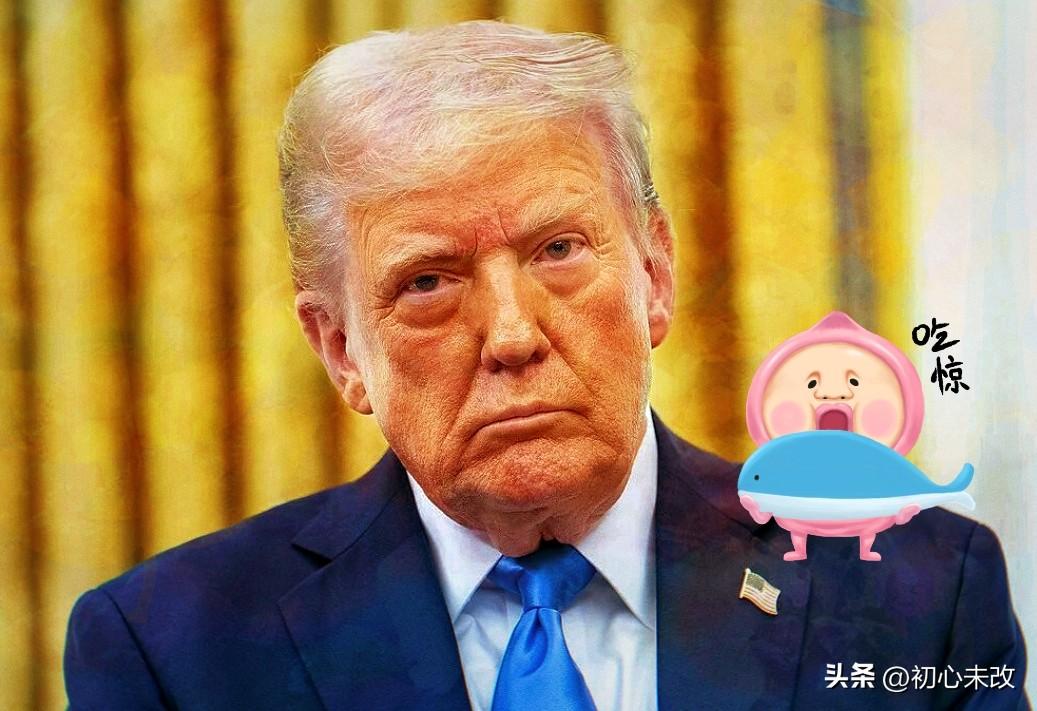 一个“老无赖”

3月31日美国总统特朗普在社交媒体上发文表示：“所有缺油的国家