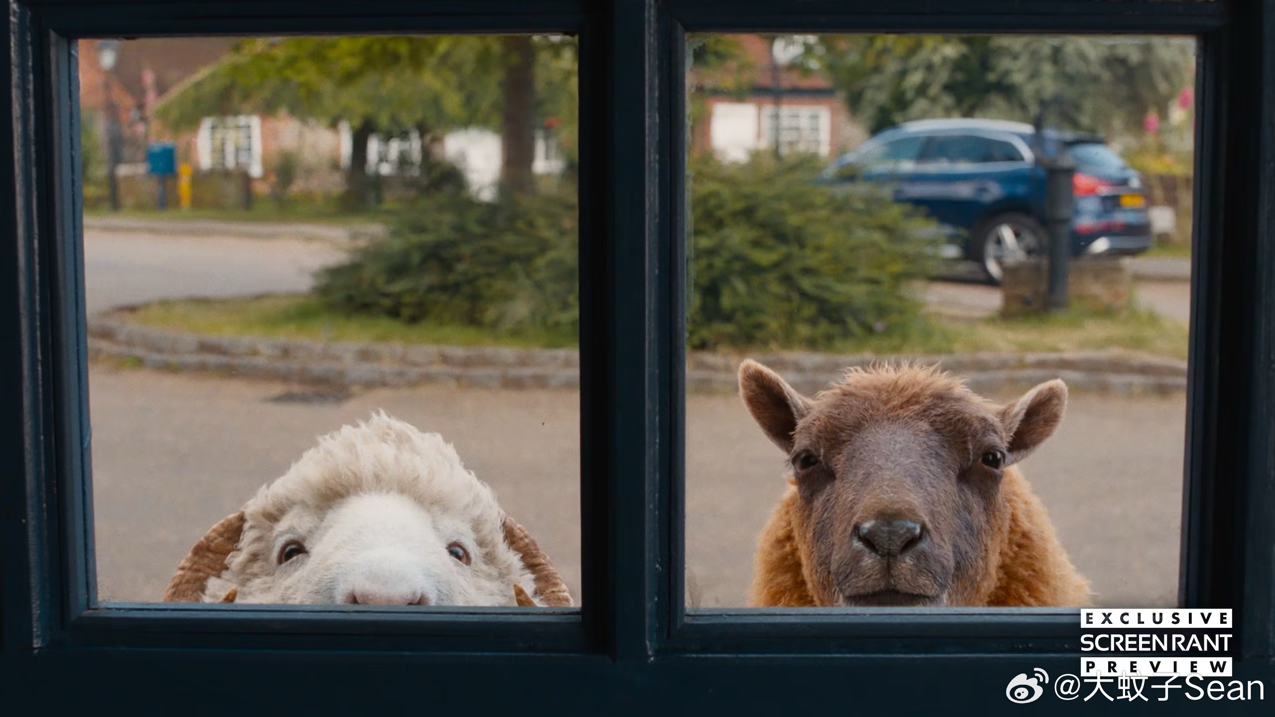 《绵羊侦探团》发布新剧照，两只主角侦探小羊登场，影片将于5月8日在北美上映 