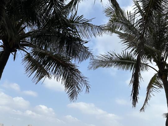 1、凡是家庭幸福的，夫妻关系好的家庭，都有一个共性，那就是这个男人特别...