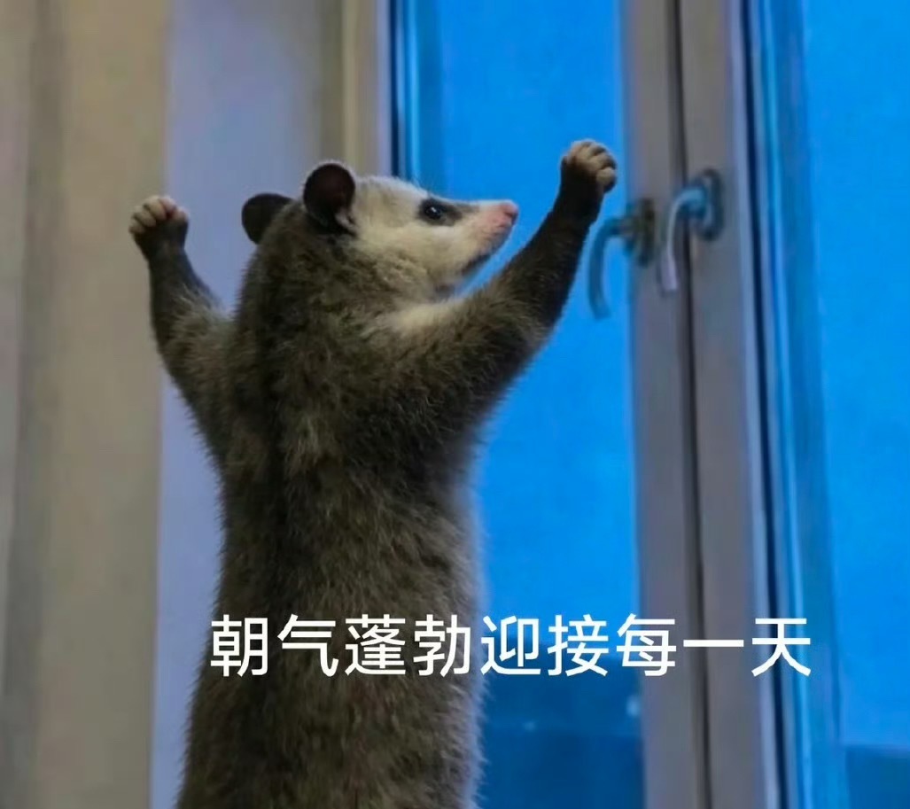 早早！ 