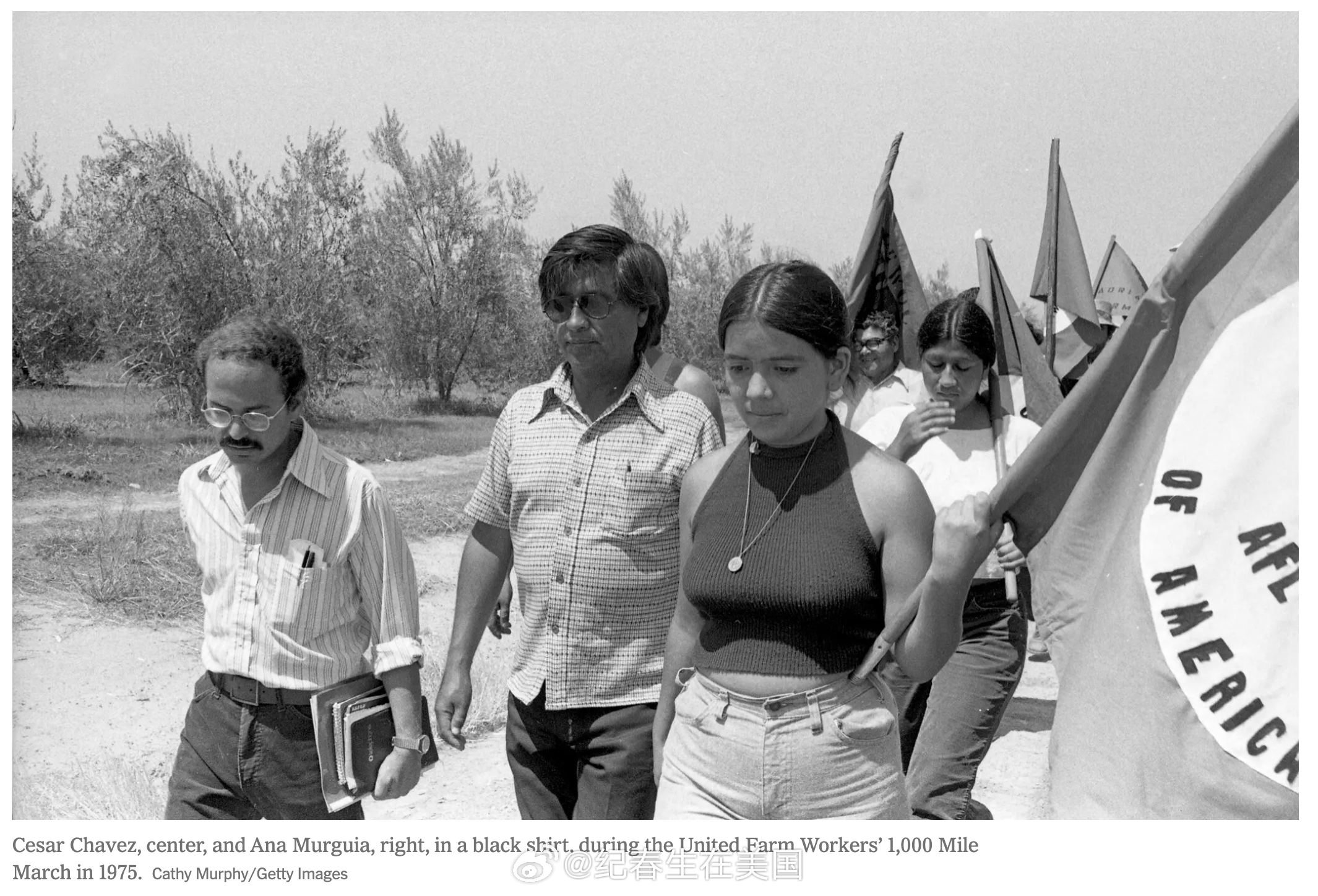 <纽约时报>今天发出重磅调查长文，揭露民权运动先驱、联合农场工人联盟（UFW）创