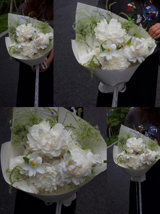 芍药的花期能不能长点，再长一点