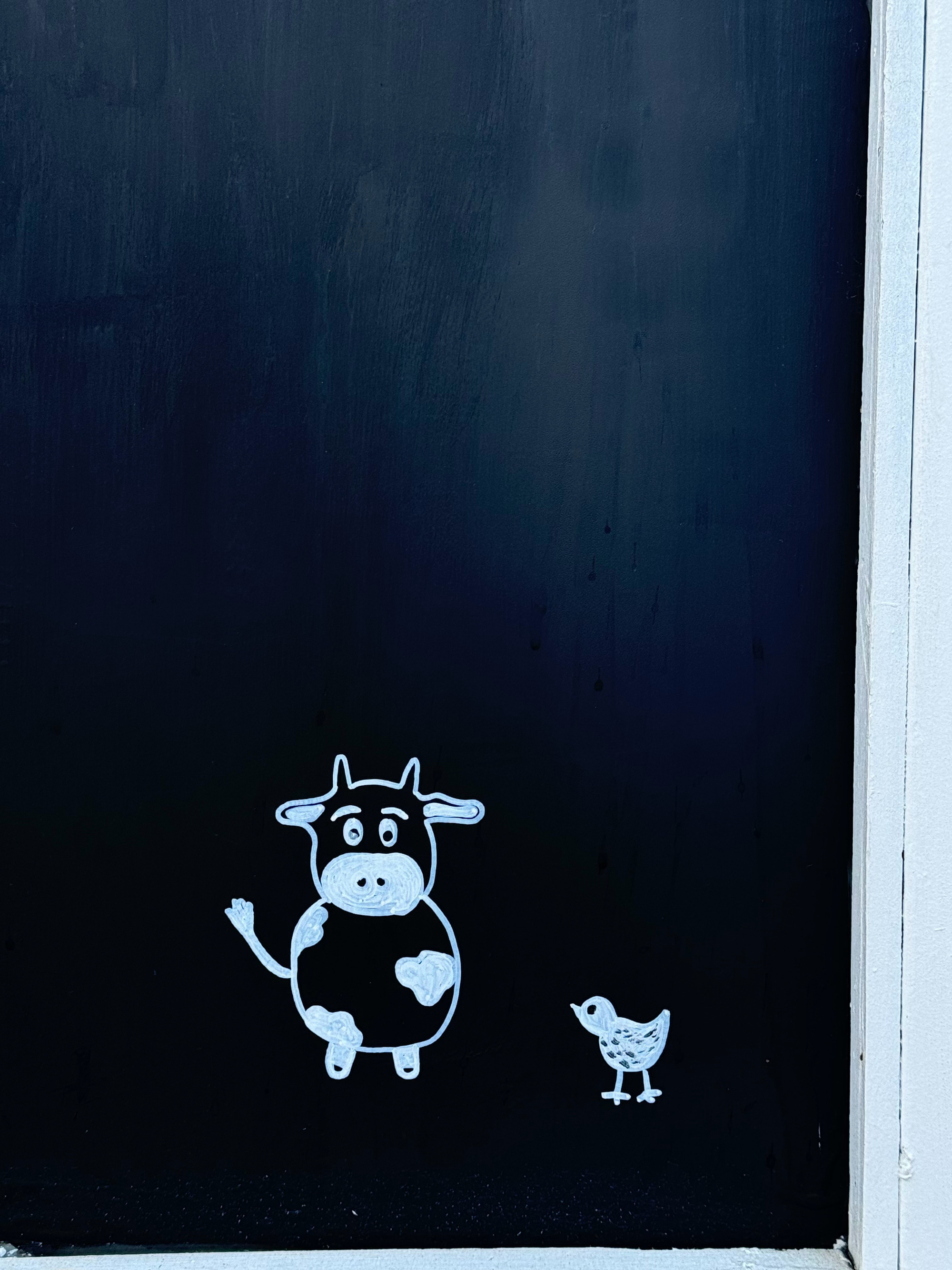 #鲨宝明星精美图片[超话]# 🦋#鲨宝图集库# 🦋#可爱头像# [送花花]头