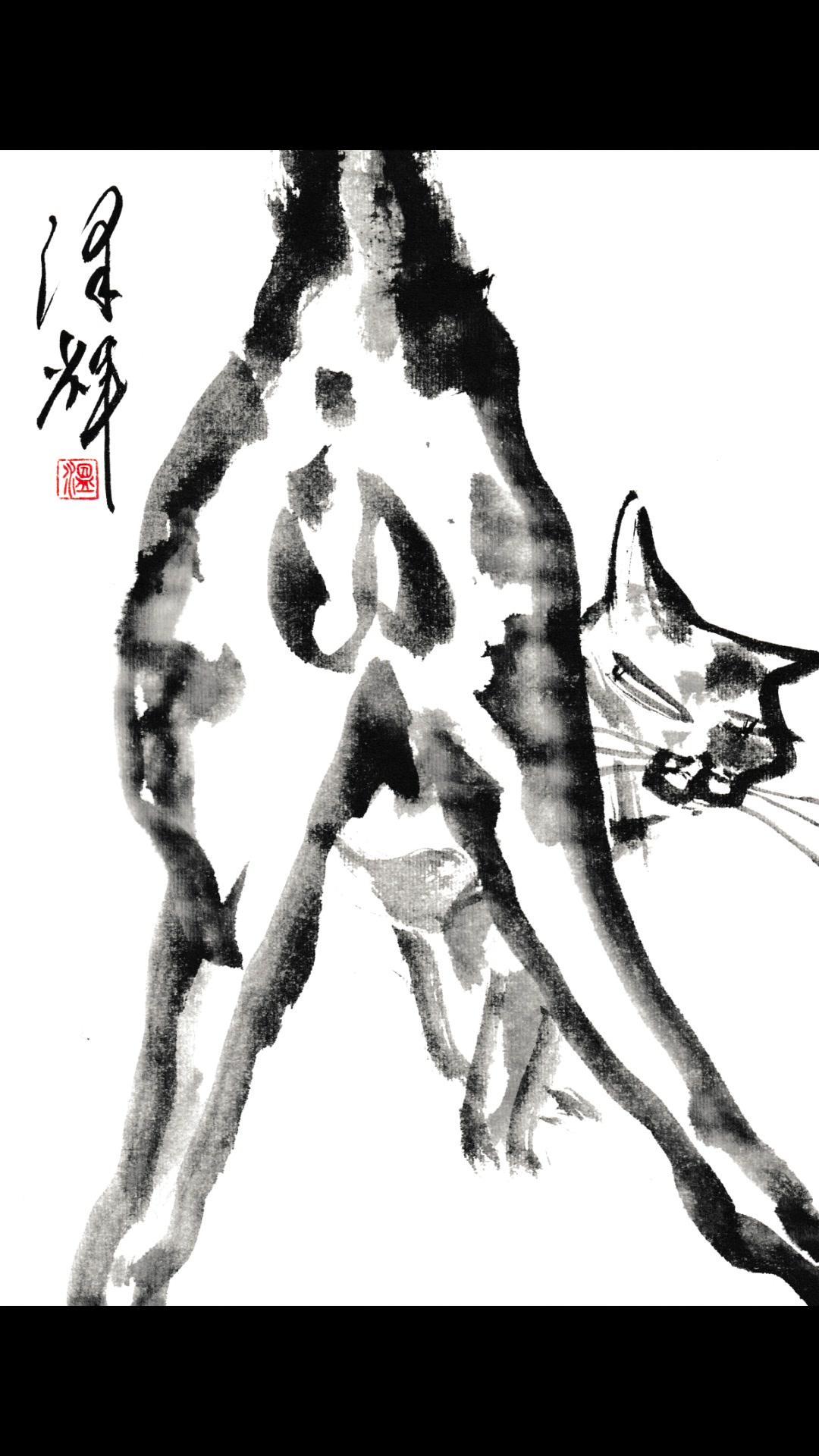 🎨写意画的魅力就在于留白和意境，寥寥几笔勾勒出的潦草感，反而成了最动人的灵魂。