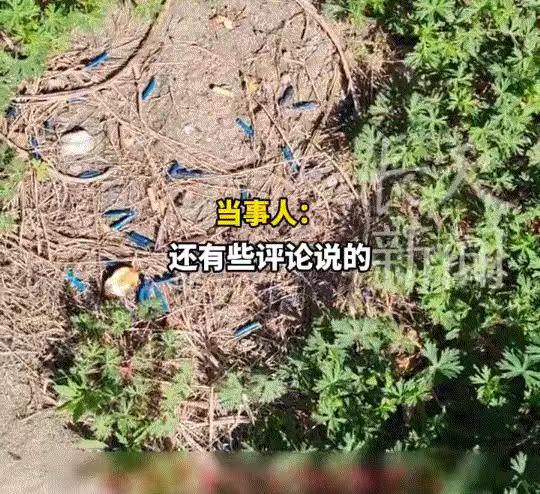 江苏，一男子抽烟后，长期把烟头丢在同一片草地上，这天他又在老地方抽烟时，竟突然发