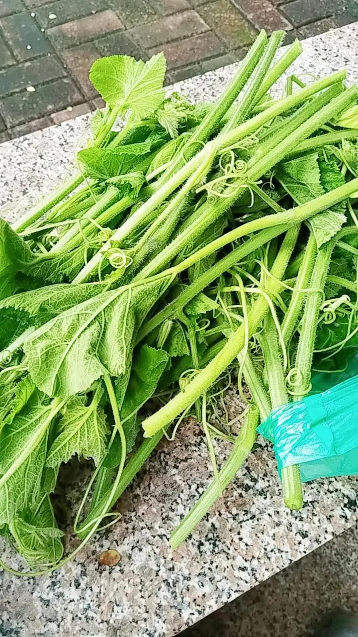 骑车遇到一人，追着说这菜真嫩，嫩吗？