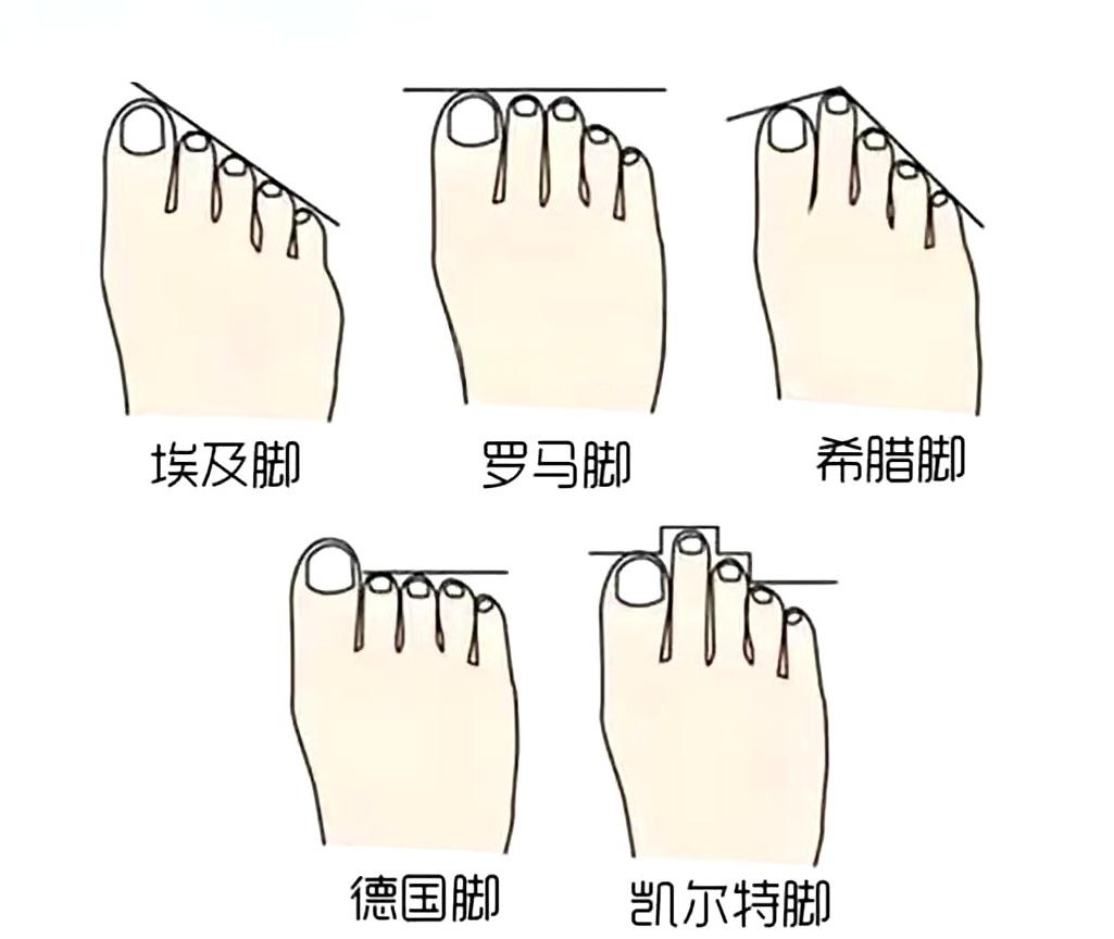你是哪种脚？