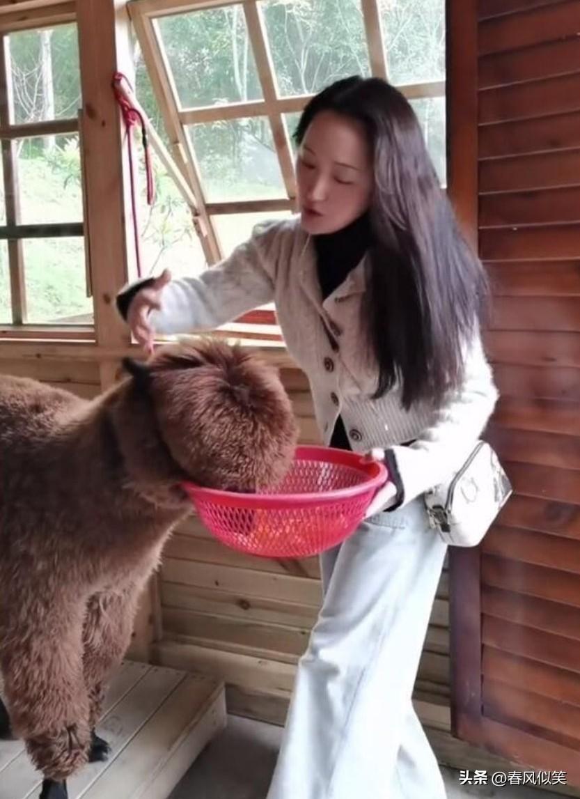 只要满足三个条件就可以结婚，55岁单身王阿姨寻寻觅觅数十年，一直无果，条件苛刻?