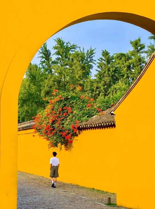 迄今为止！我最喜欢的城市出现了…😭live