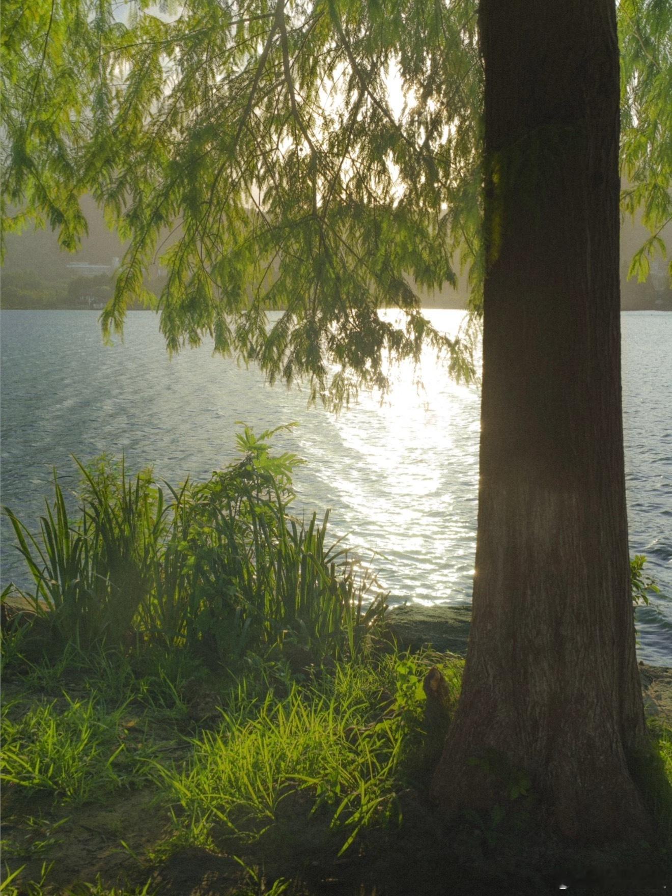 有句话：“你太关注别人，那你的生活就永远是别人欲望的合集。”最近这几年从来不发，