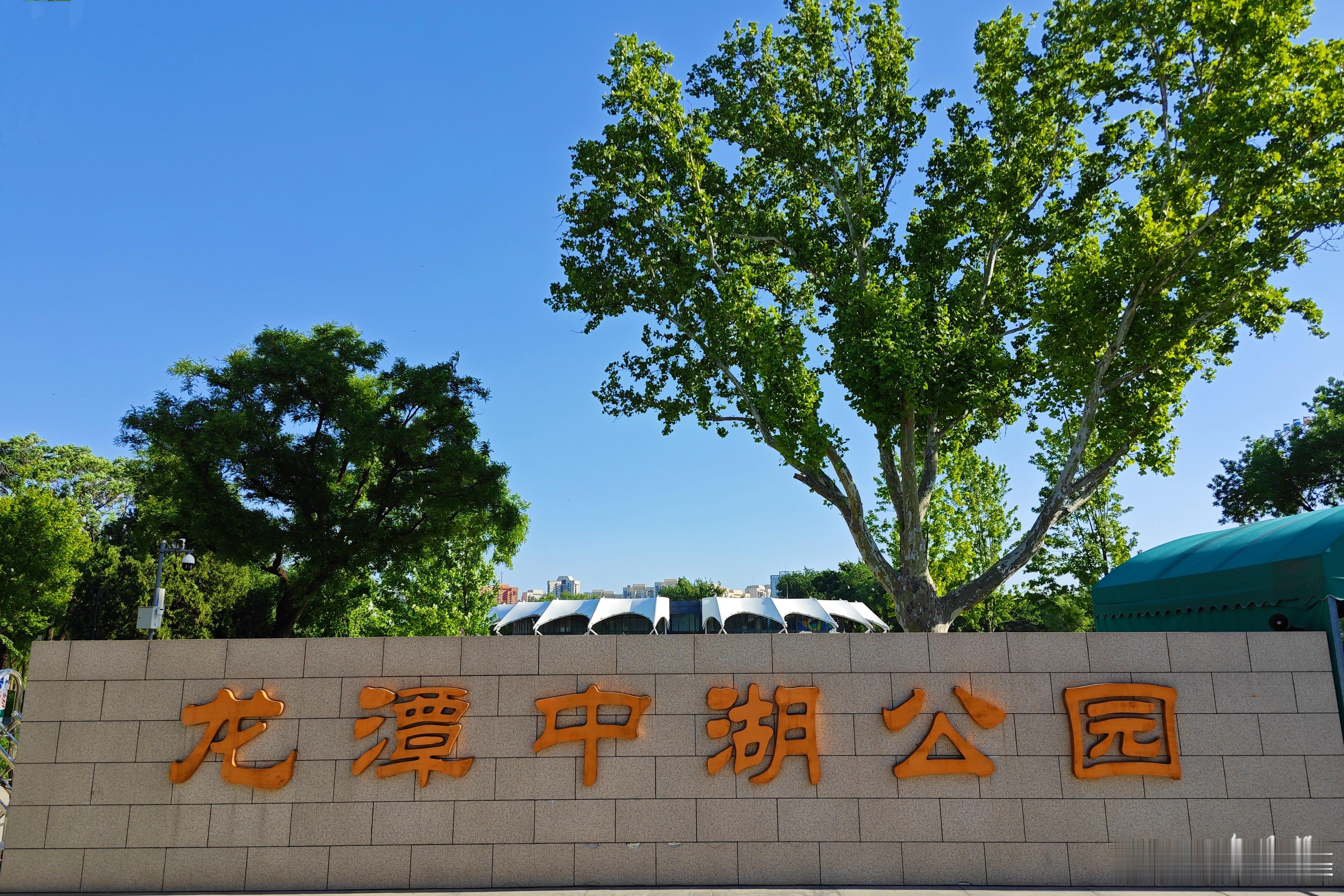 【北京2024首都市民花园节】花色布景超大，鲜花品种繁多，市民免费游览，拍照打卡