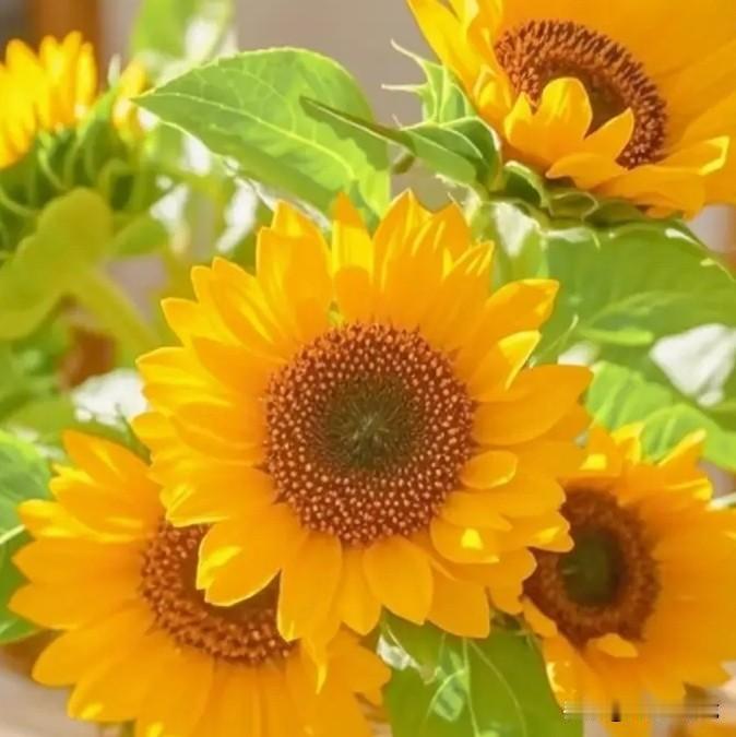 东方财富技术分析！

东方财富下跌到四月七日，最低价肯18.35元，之后至今有所