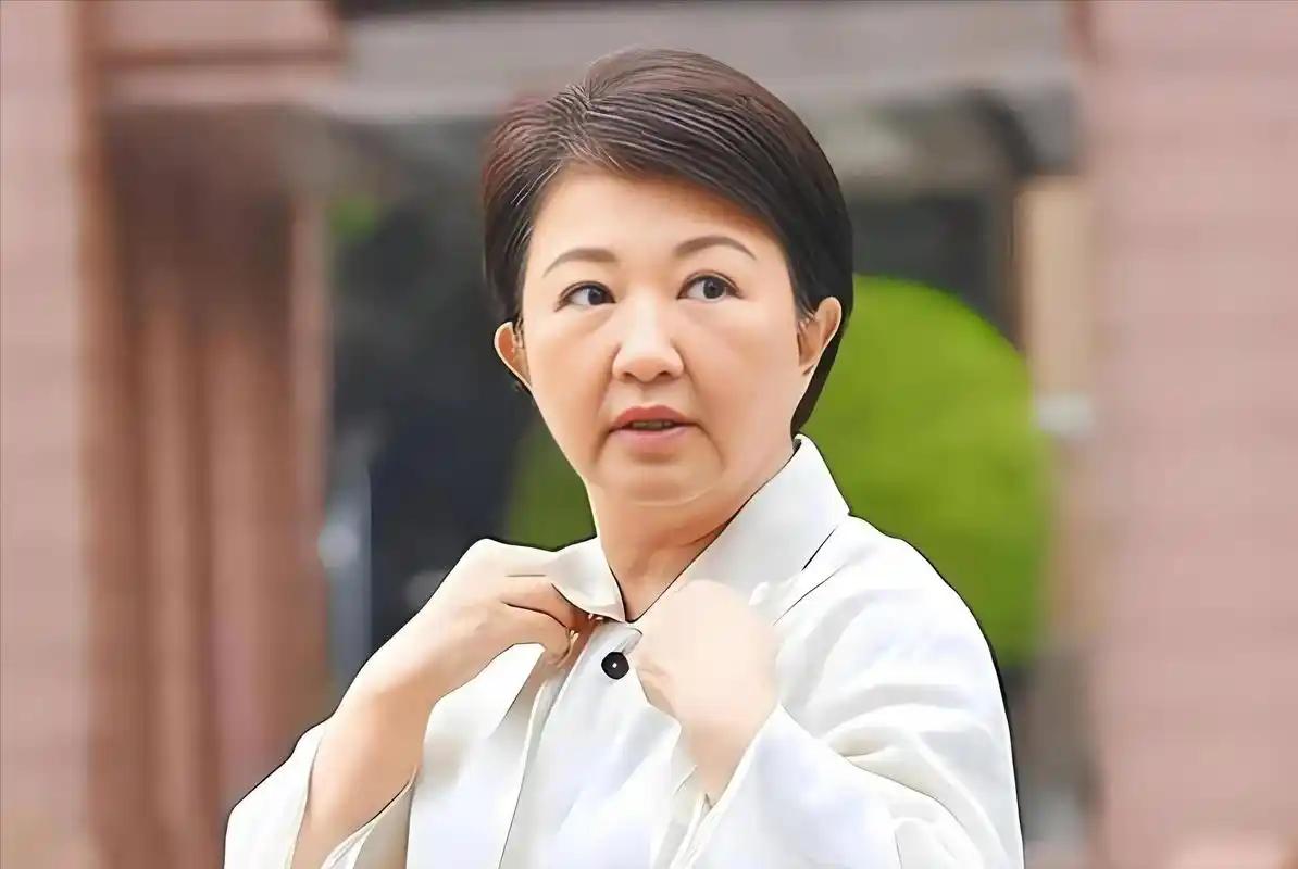 6月29日，台中市长卢秀燕令人惊讶地表示，国民党团要提出无人机的条例，而她建议的
