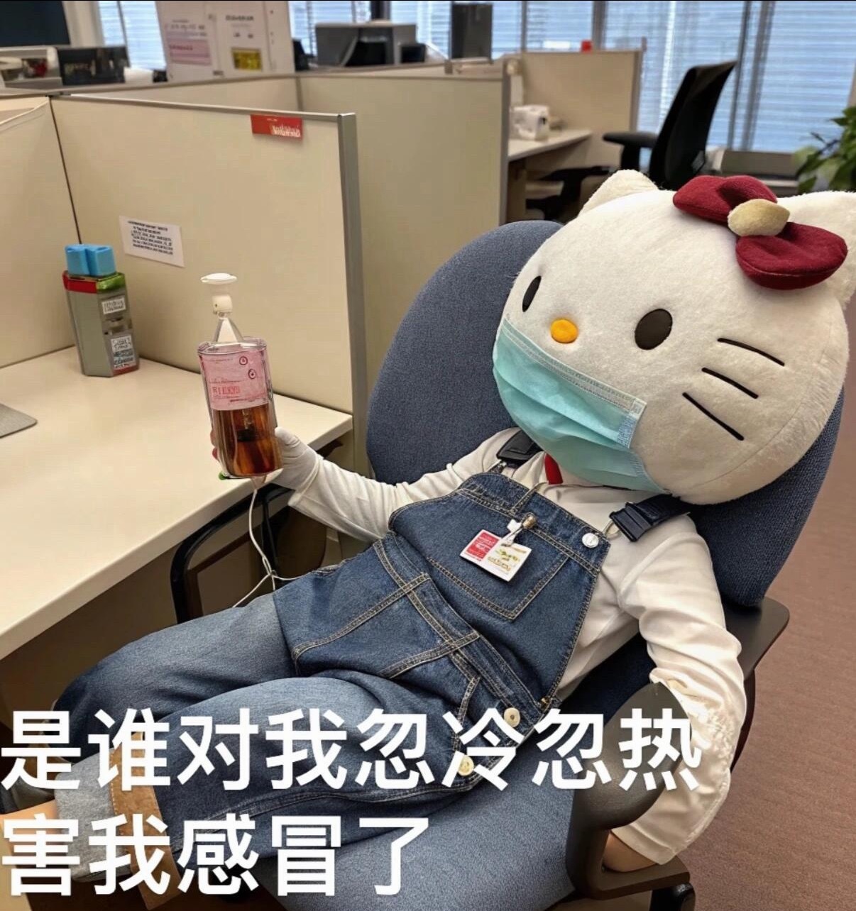 三伏天感冒了带薪养病闷热三伏天不慎染上暑热感冒，趁着工作间隙安心静养，一边处理简