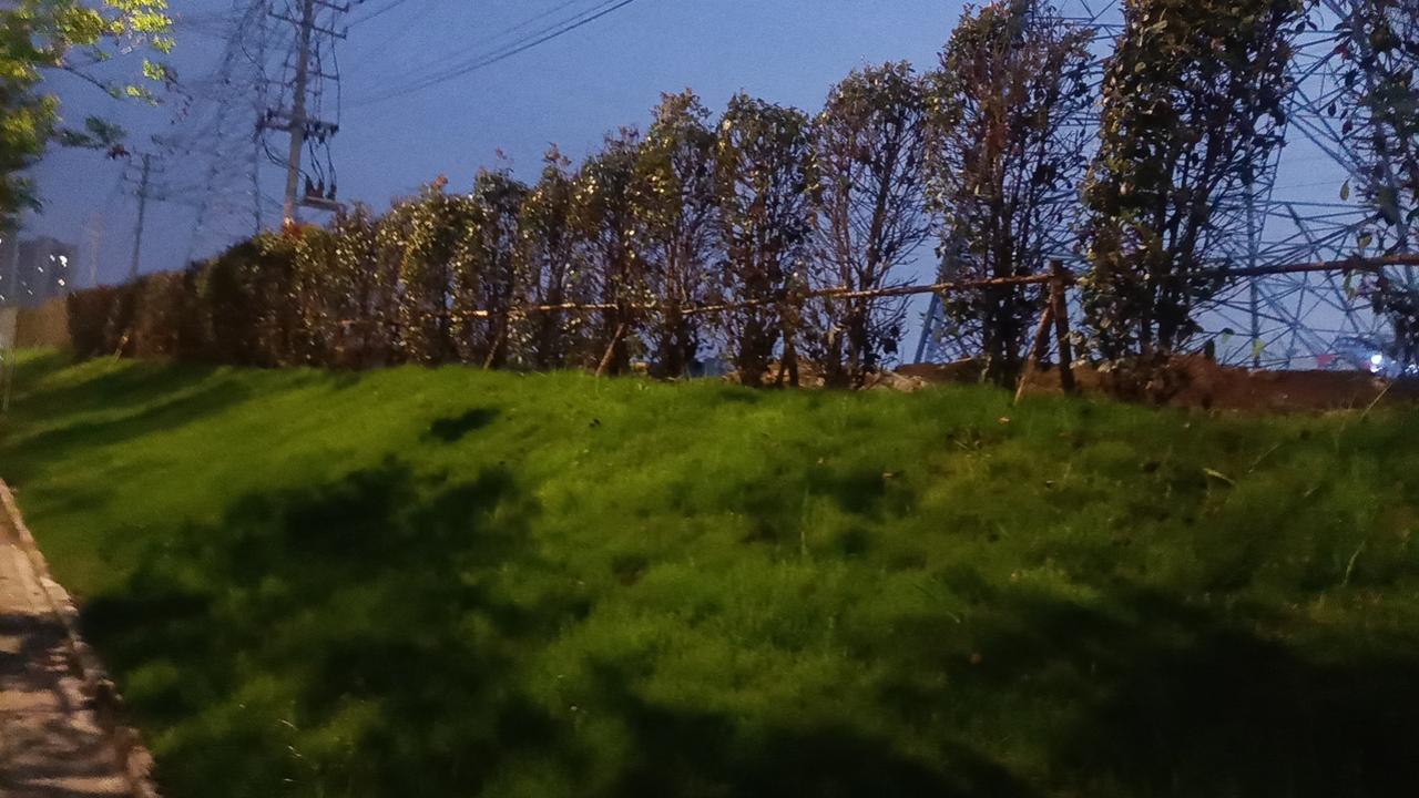 在这个信息过载、焦虑丛生的时代，“没心没肺”仿佛成了一种稀缺的生活智慧。它不是麻