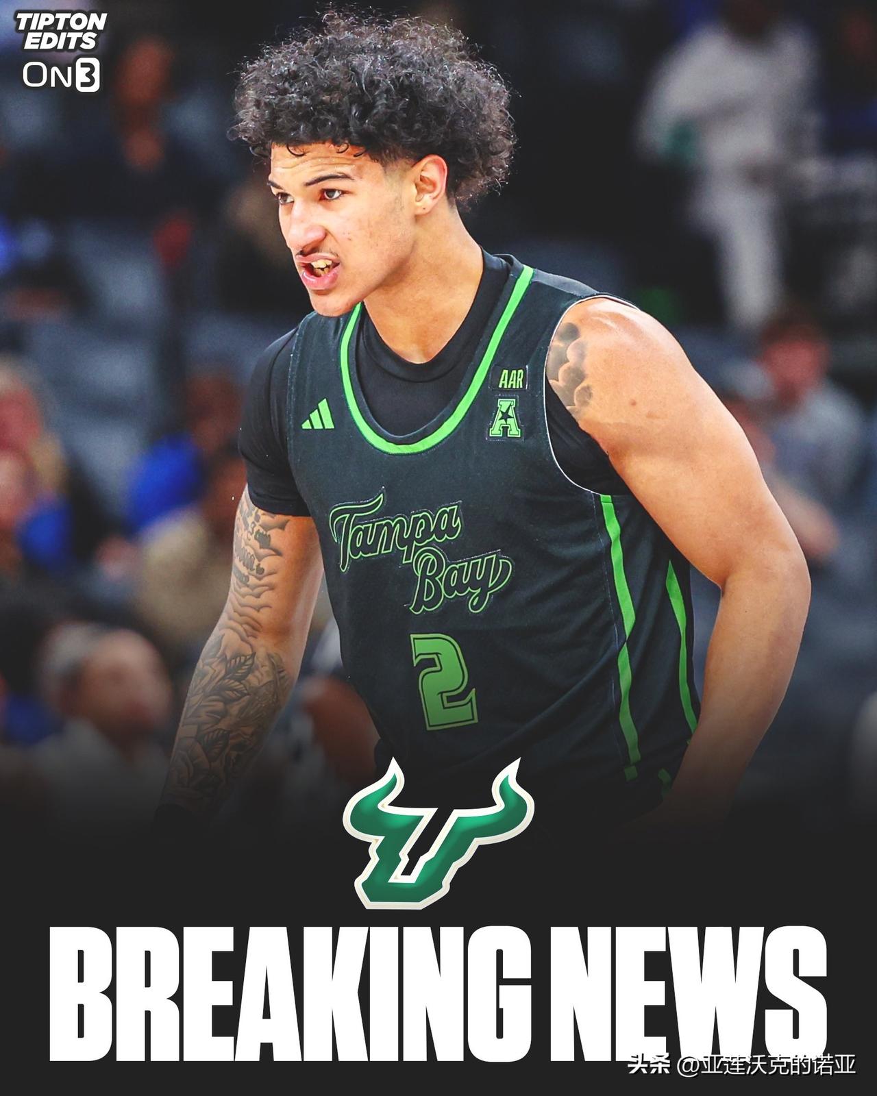 南佛罗里达大学后卫Wes Enis计划进入转学市场，但已设置请勿打扰Do Not