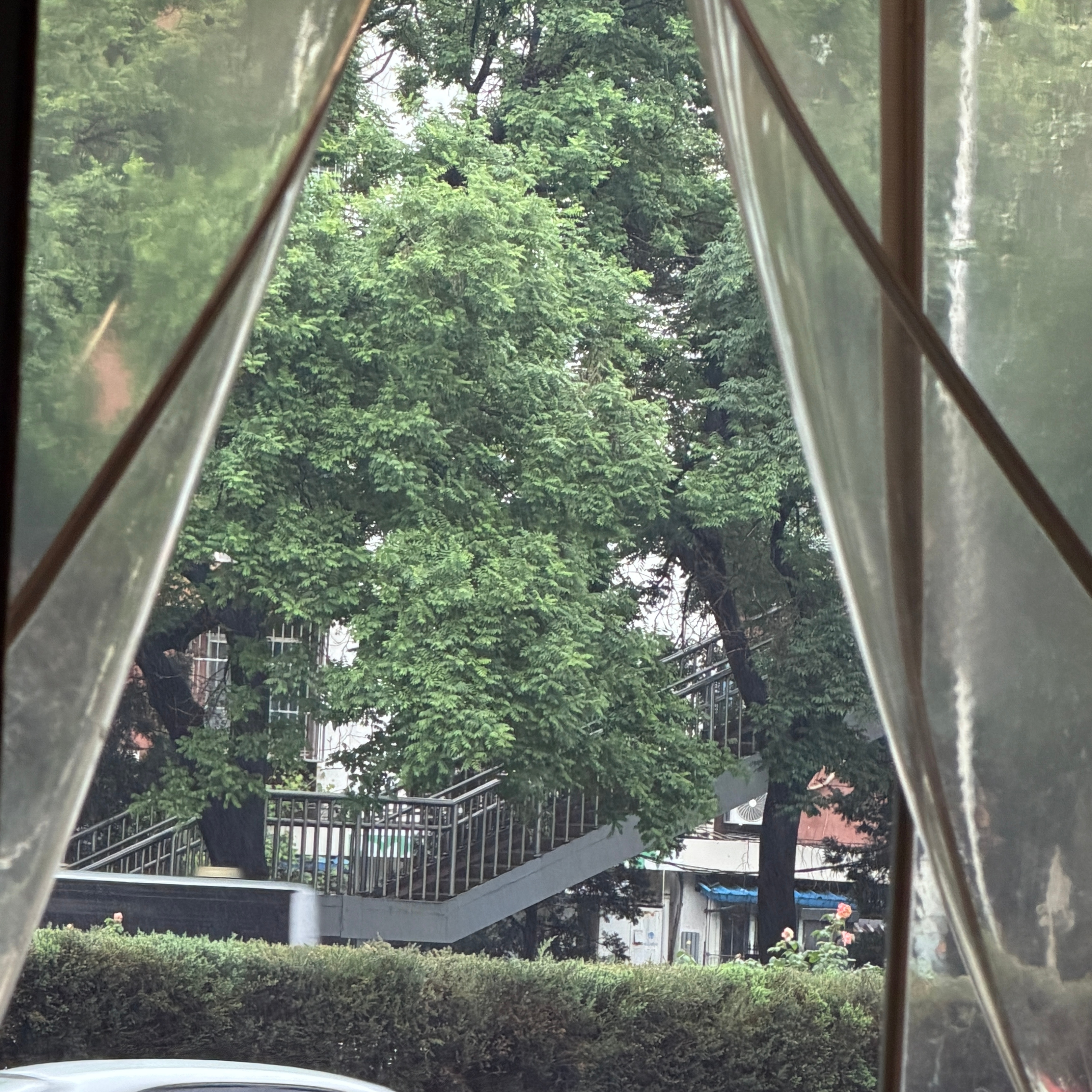 北京这几天要开启连续下雨模式，微烦躁来个小蛋糕缓解一下吧🧁 