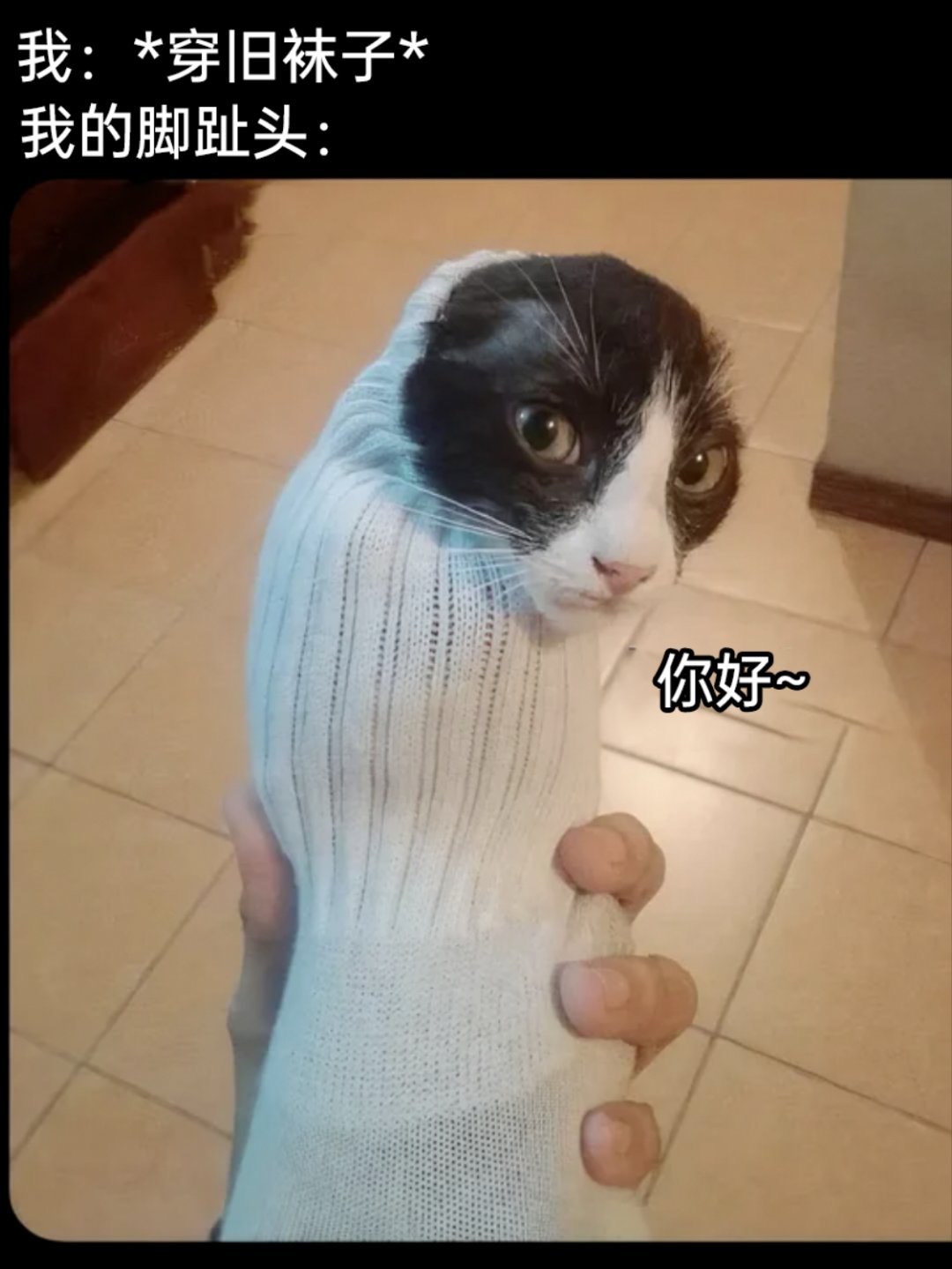 露头 