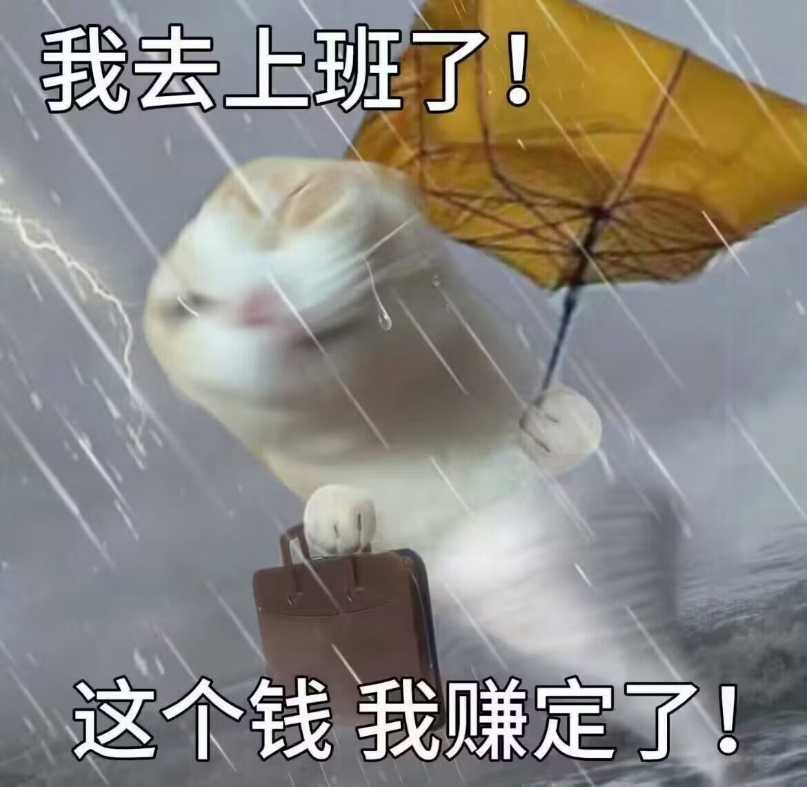 南京这雨到底停不停反正上班不能停