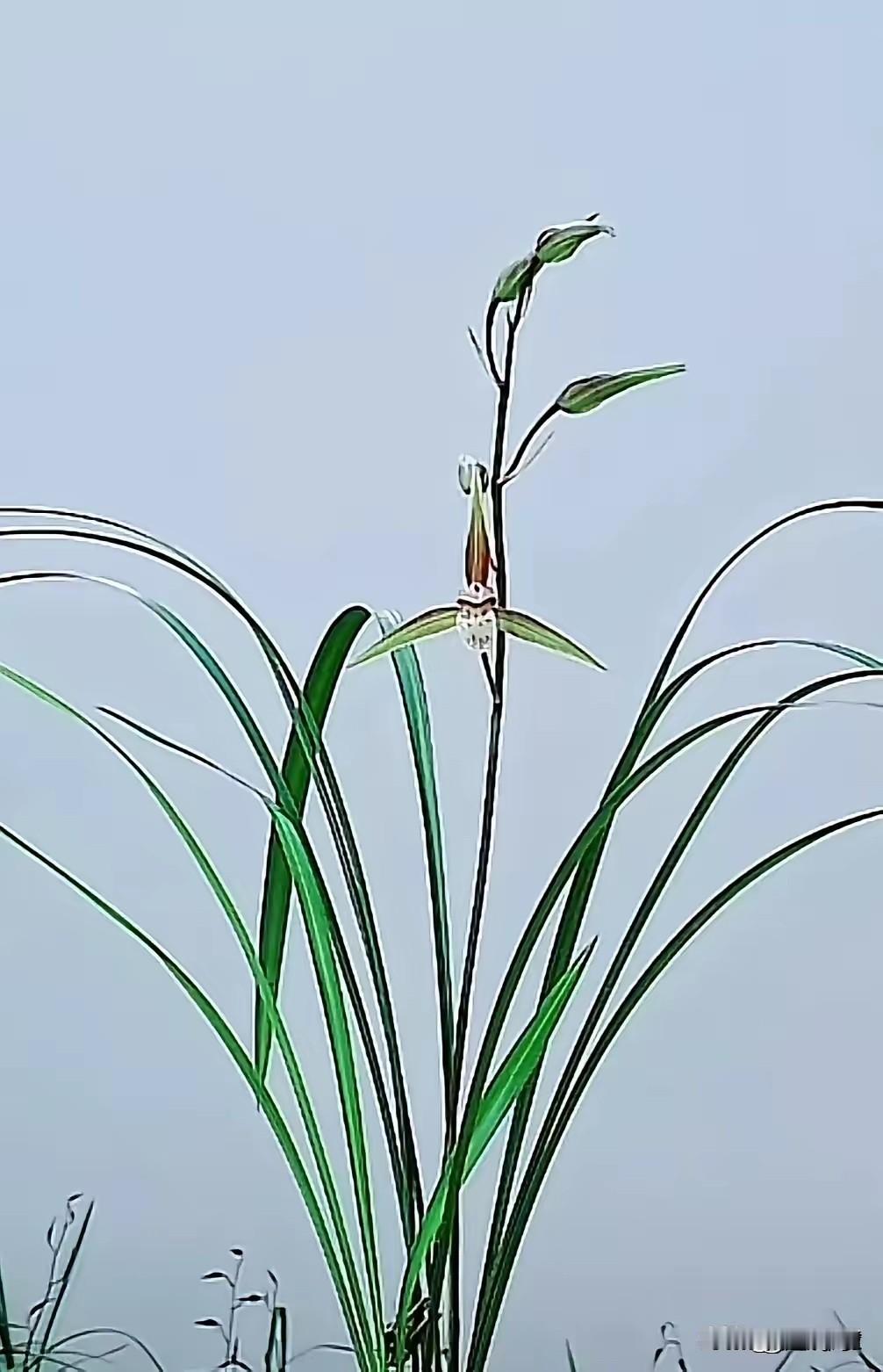 有人开口就说自己掌握头条流量密码，这样的微头条我直接划走，我想说的是头条流量是没