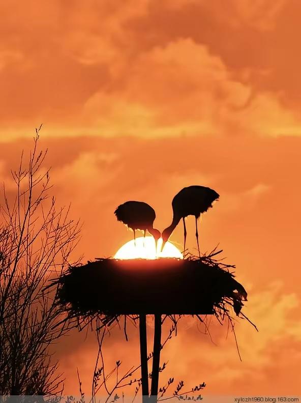 今日幸运签，我抽到了大吉签，签文为“真情流露，缘分自来”。好个真情流露，缘分自来