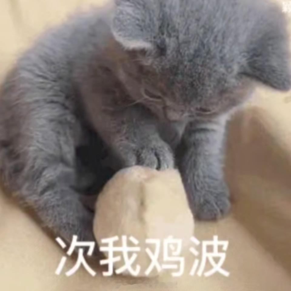 分享图片 