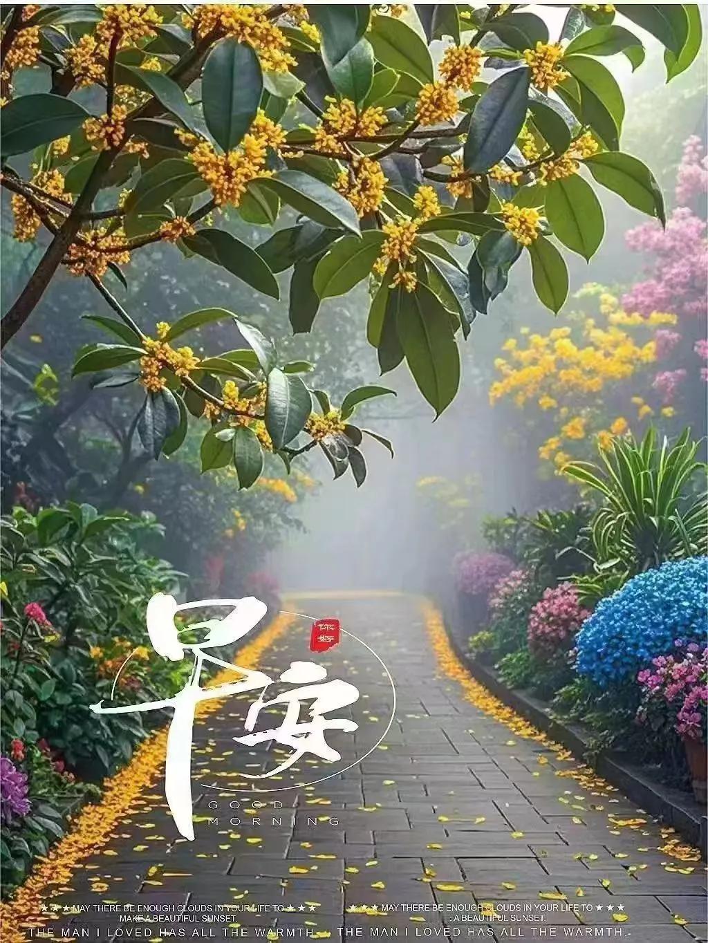 秋寒细雨濛濛，山道湿桂香风。。。。
#秋日生活打卡#

秋凉微雨细濛濛，山路桂湿