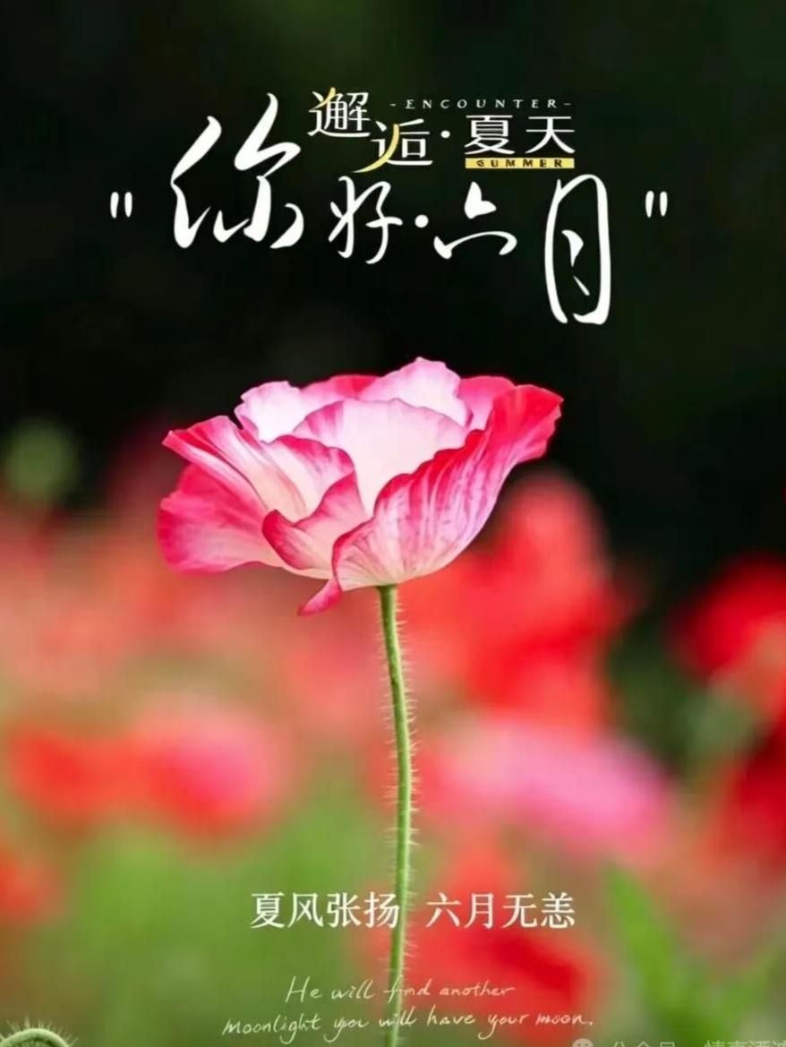 健康小常识：无论是上学读书，还是参加考试，记忆力差那可是一件令人沮丧的事情。
