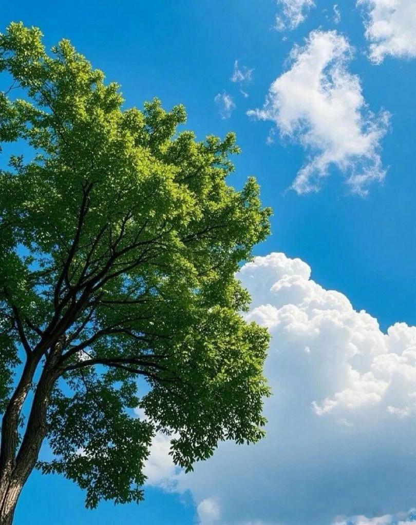 父母开放平和的心态，是托举孩子成长最温柔的力量。 珠海·珠海珠科永乐半山酒店