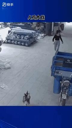 美女和鸡🐔拼了！[泣不成声]