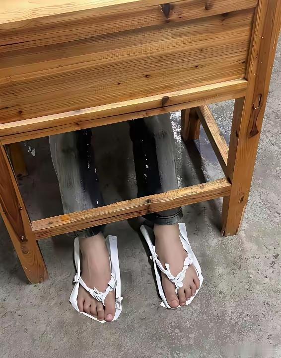 这哪是上学 