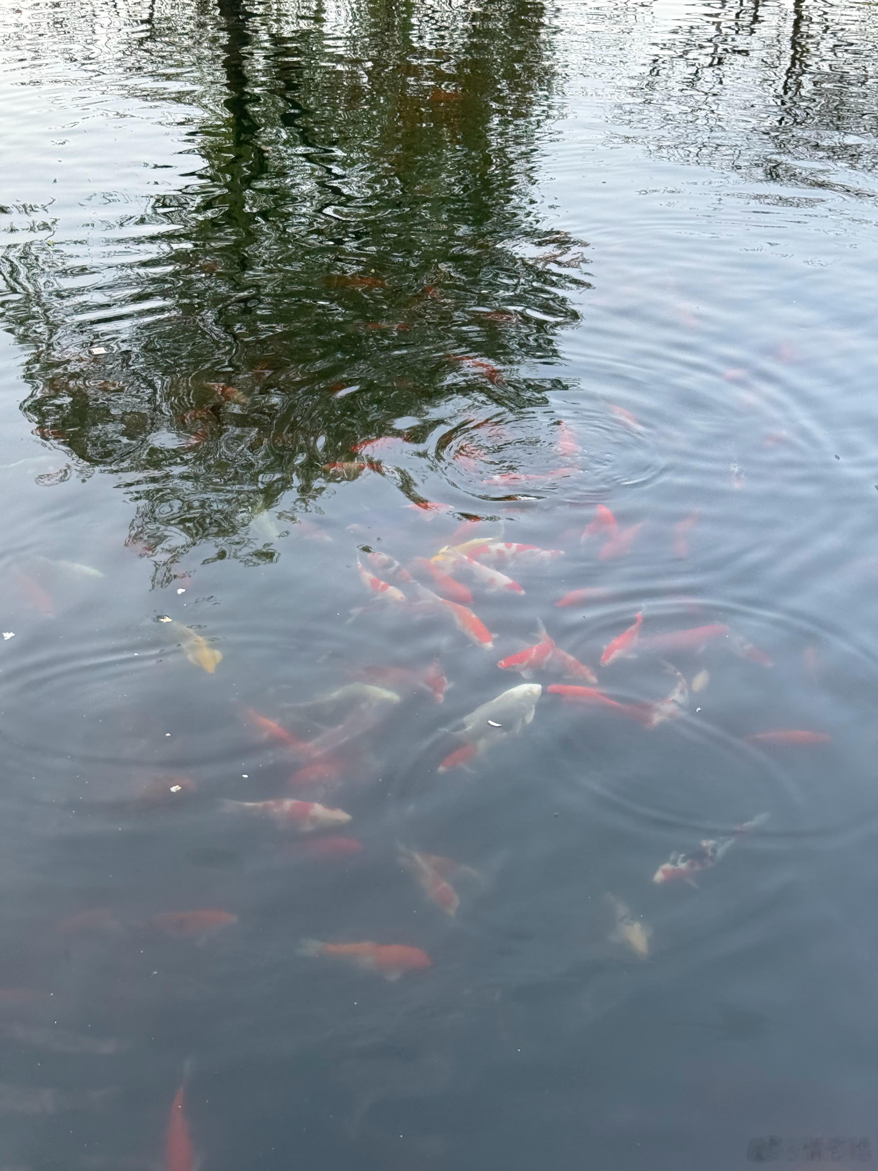 得罪几个人，做错几件事，其实没那么可怕，一辈子活得委曲求全，战战兢兢才最可怕。罗