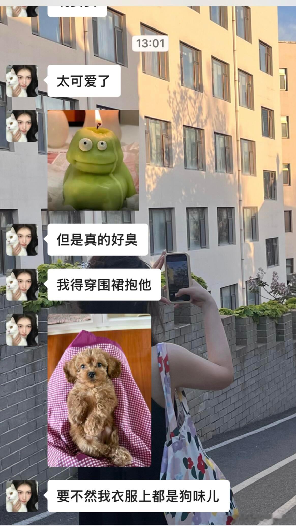 当我爱干净的朋友开始养狗 