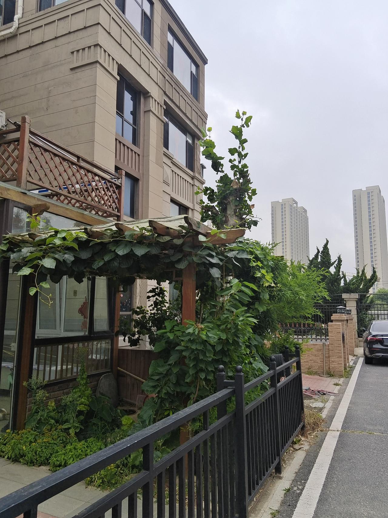 生活中，你喜欢拍摄花的照片吗